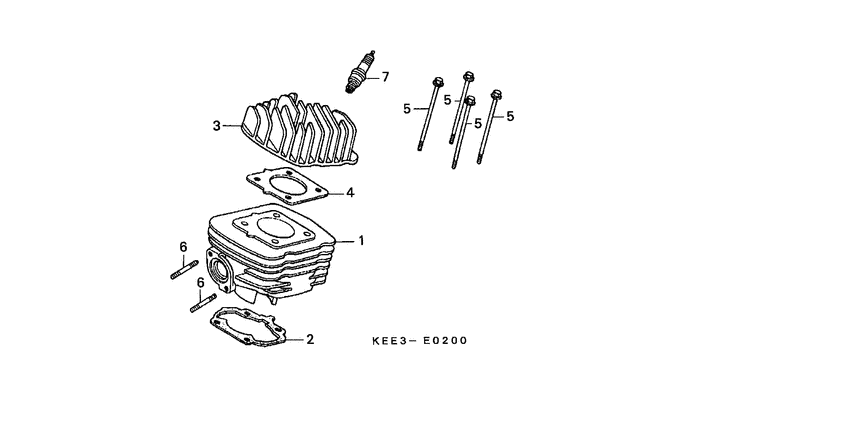 Cylinder/cylinder head