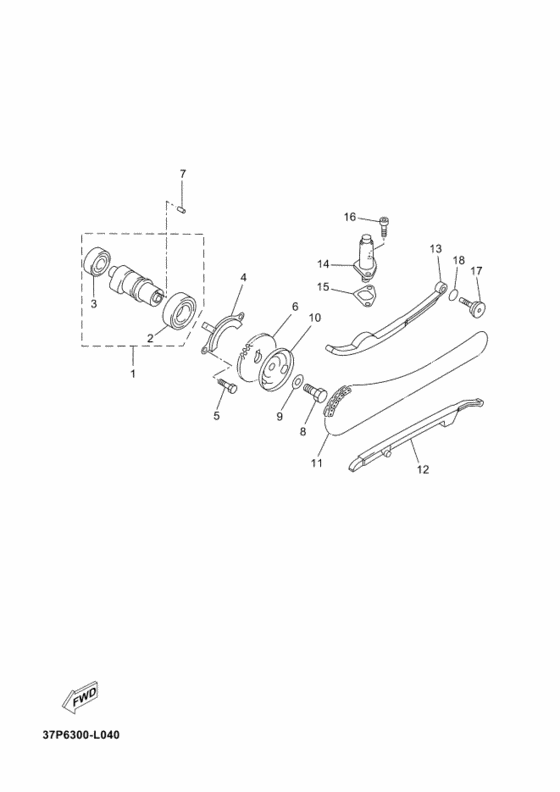 Camshaft & chain