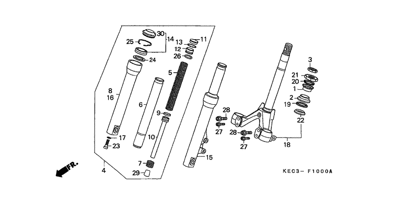 Front fork/front cushion