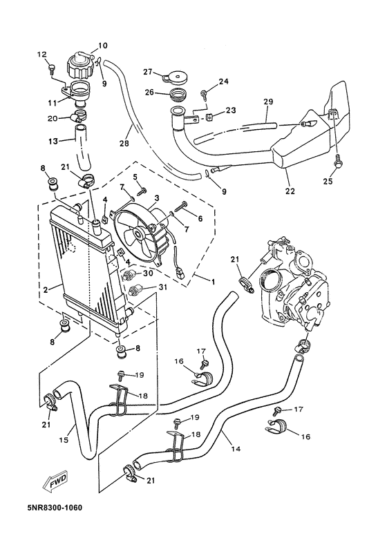 Radiator. hose