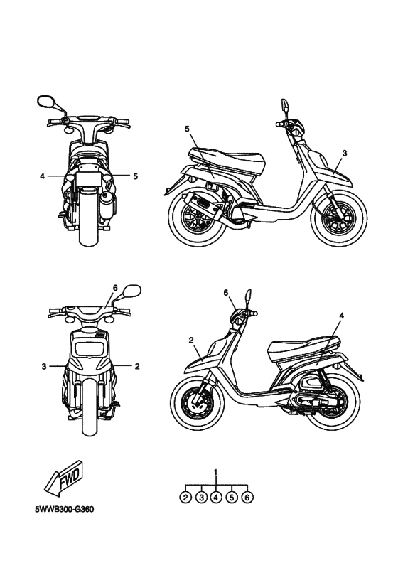 CW50 Графический и фирменный знак