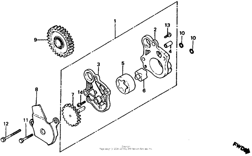 Oil pump 81-82