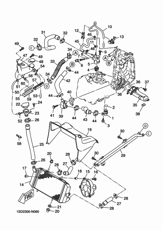 Radiator & hose