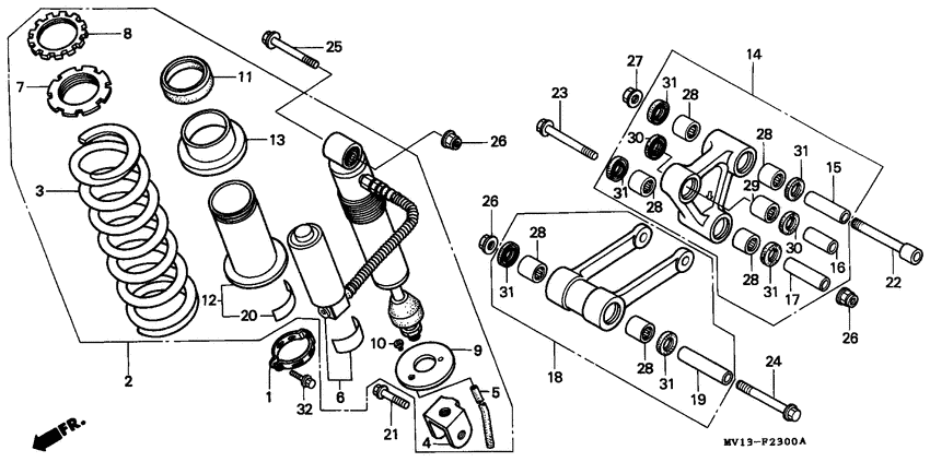 Rear cushion
