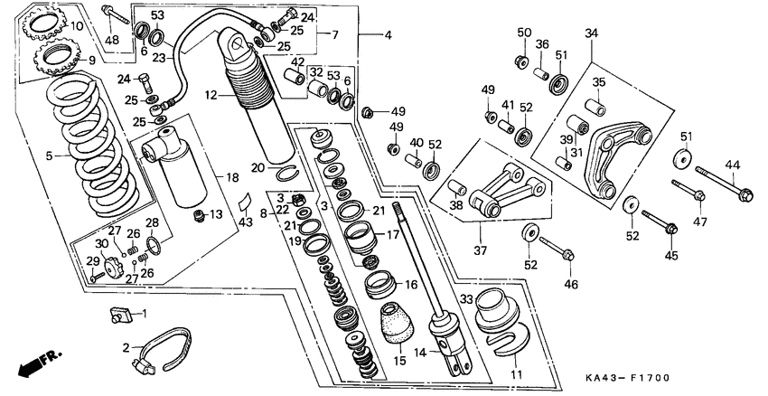 Rear cushion