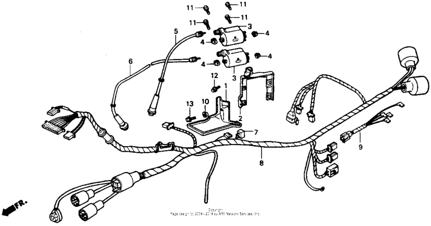 VTR250 Жгут проводов