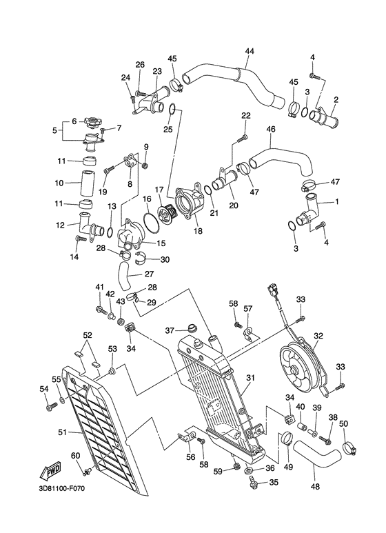 Radiator & hose