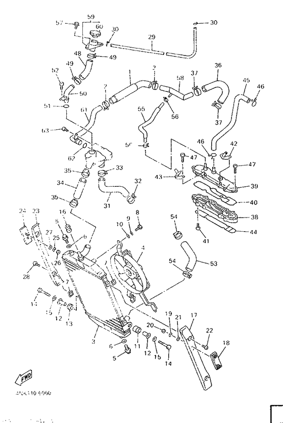 Radiator. hose