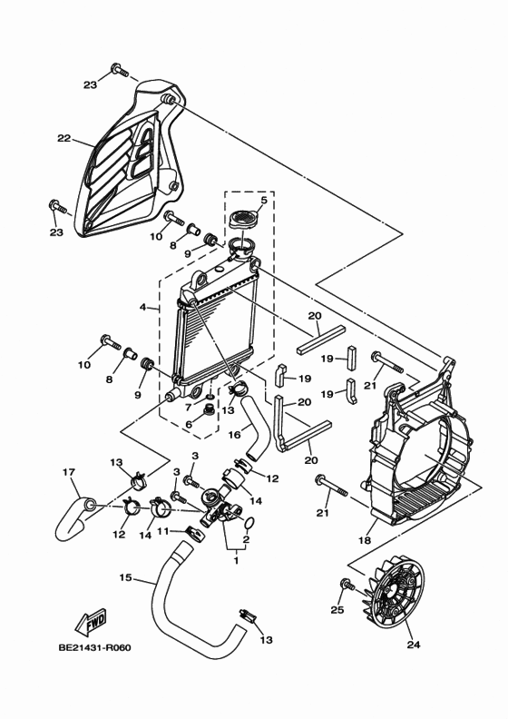 Radiator & hose
