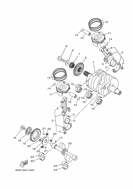 Crankshaft & piston