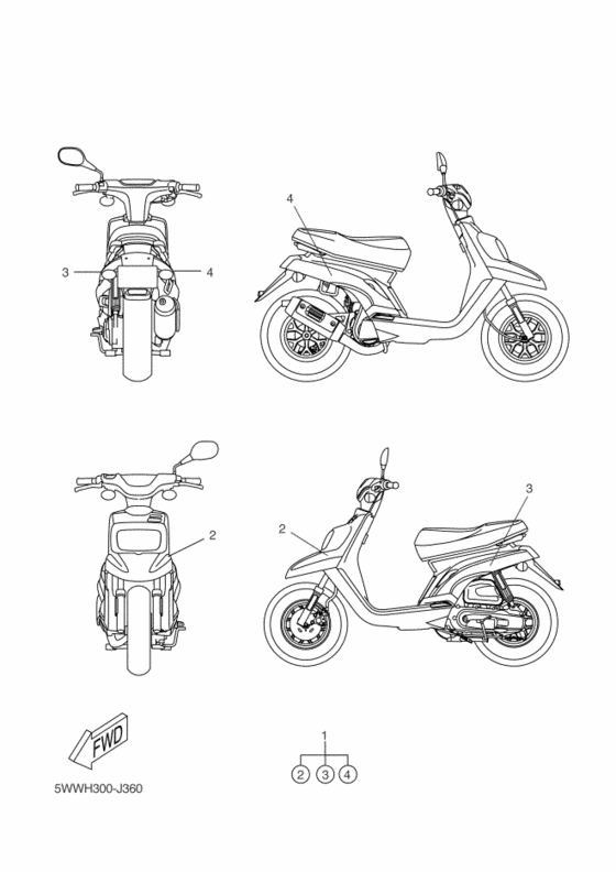 CW50 Графический и фирменный знак
