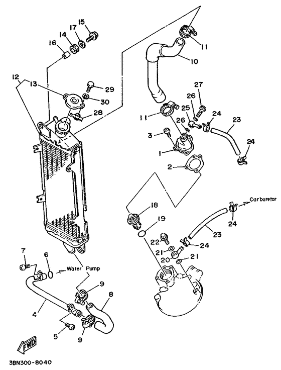 Radiator. hose