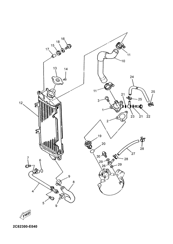 Radiator & hose