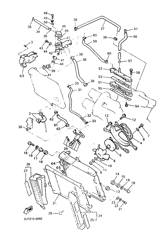 Radiator. hose