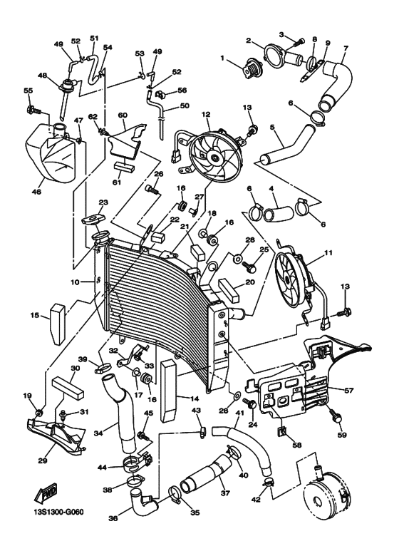 Radiator & hose