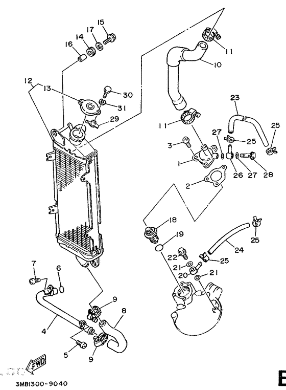 Radiator. hose