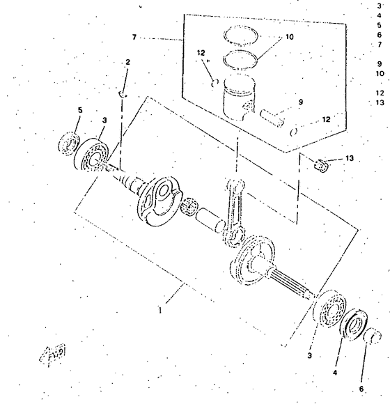 CW50RSP Ciguenal. pisttn