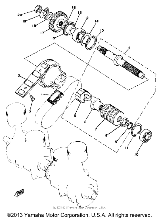 Primary shaft-chain