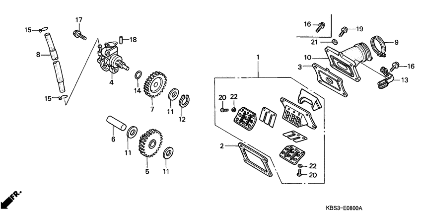 Oil pump/reed valve