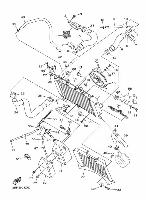Radiator & hose