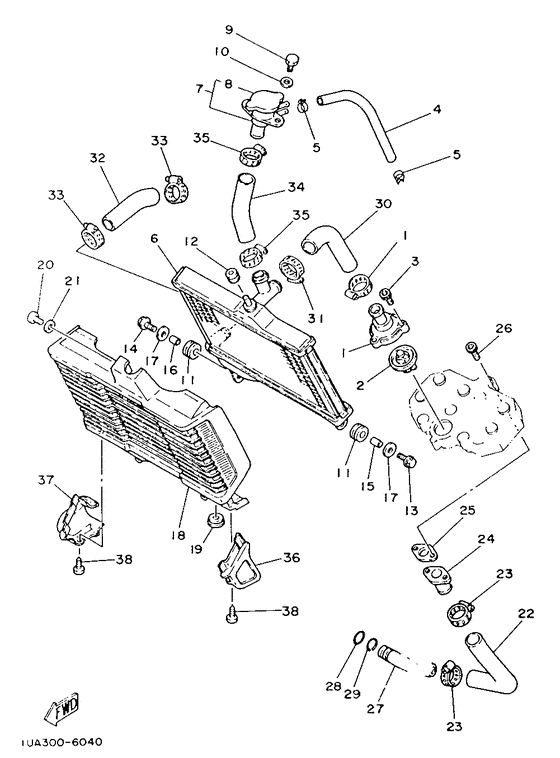 Radiator. hose