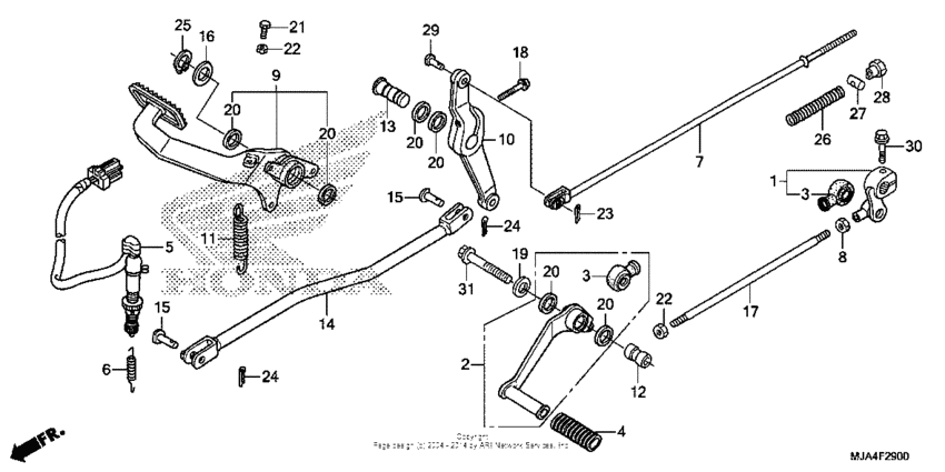 Pedal (1)