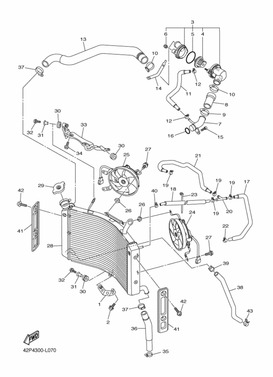 Radiator & hose