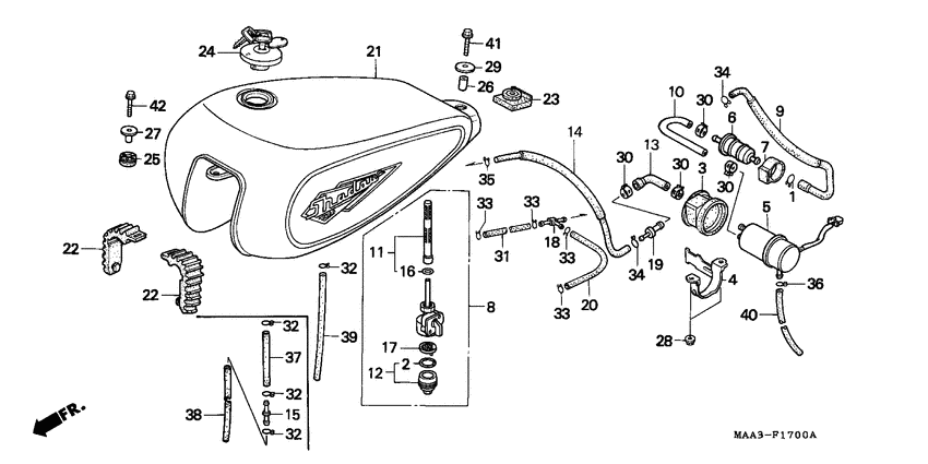 Fuel tank/fuel pump