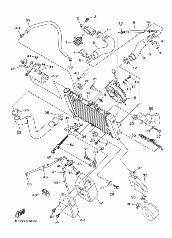 Radiator & hose
