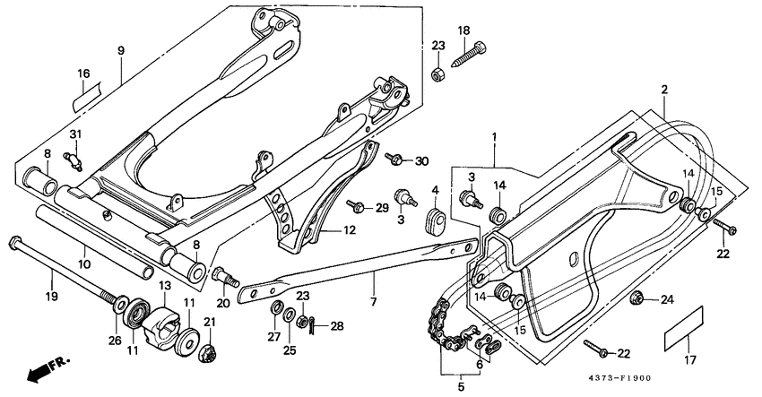 Rear fork/chain case