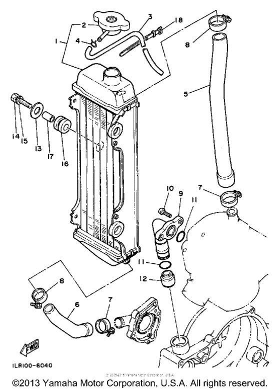 Radiator - hose