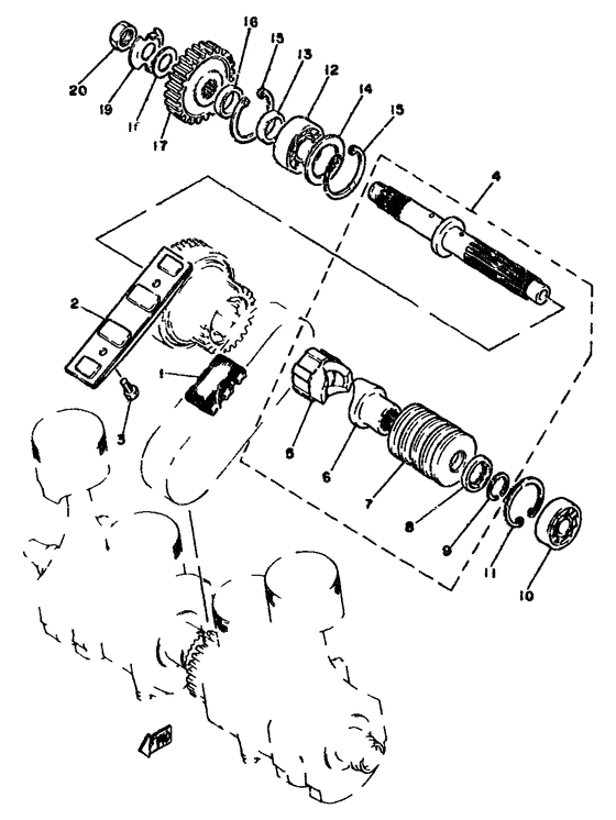 Primary shaft. chain