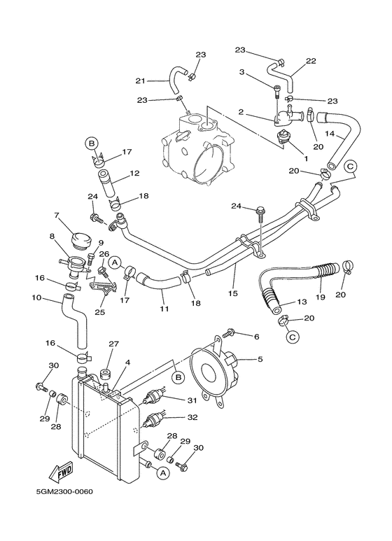 Radiator. hose