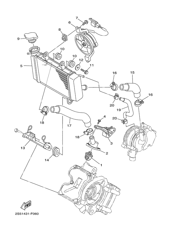 Radiator & hose