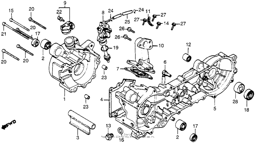 Crankcase + oil pump + reed valve 81