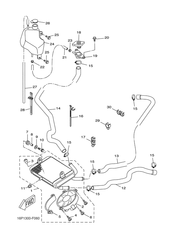 Radiator & hose