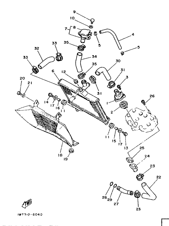 Radiator. hose