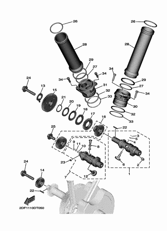 Camshaft & chain