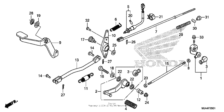 Pedal (2)