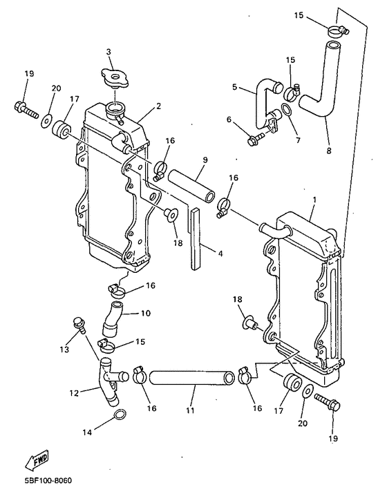 Radiator. hose