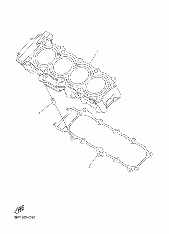 FZ8-N Цилиндр