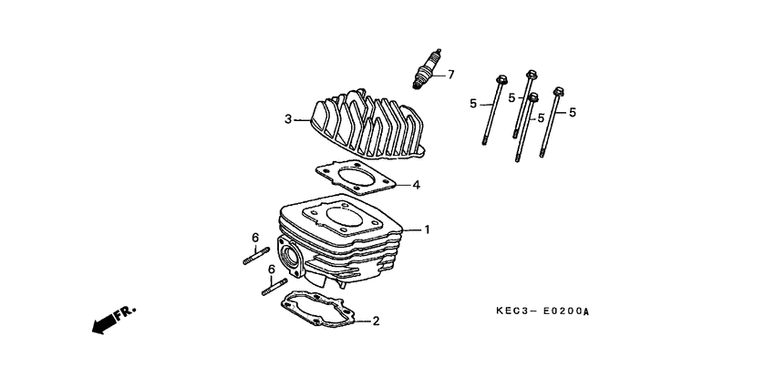 Cylinder/cylinder head