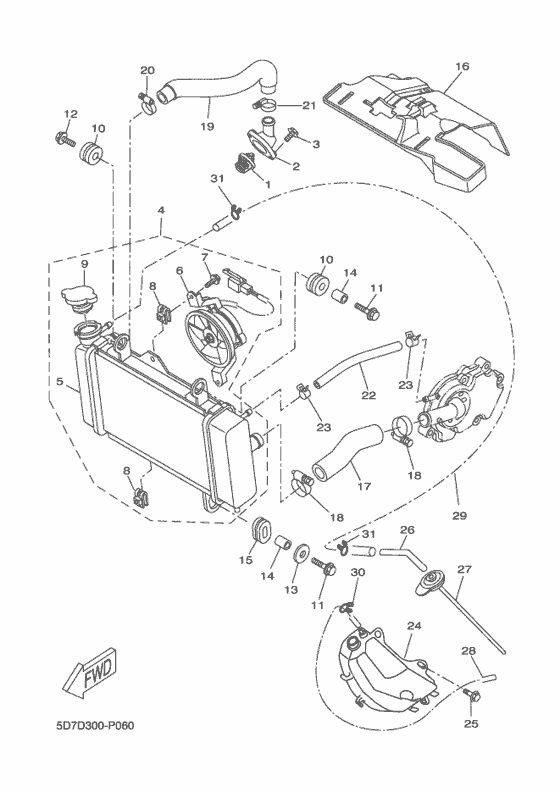 Radiator & hose