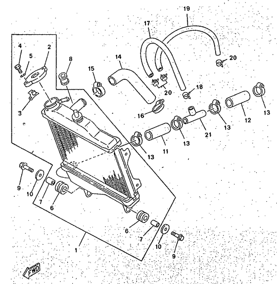 Radiator. hose