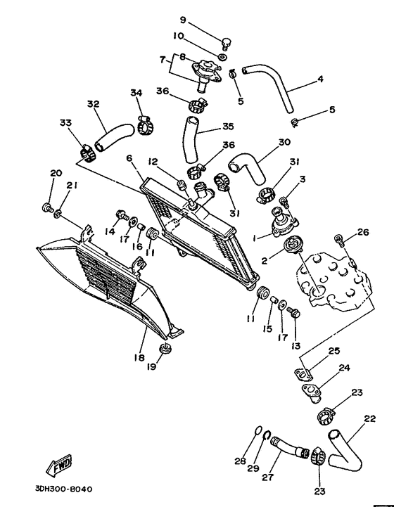 Radiator. hose