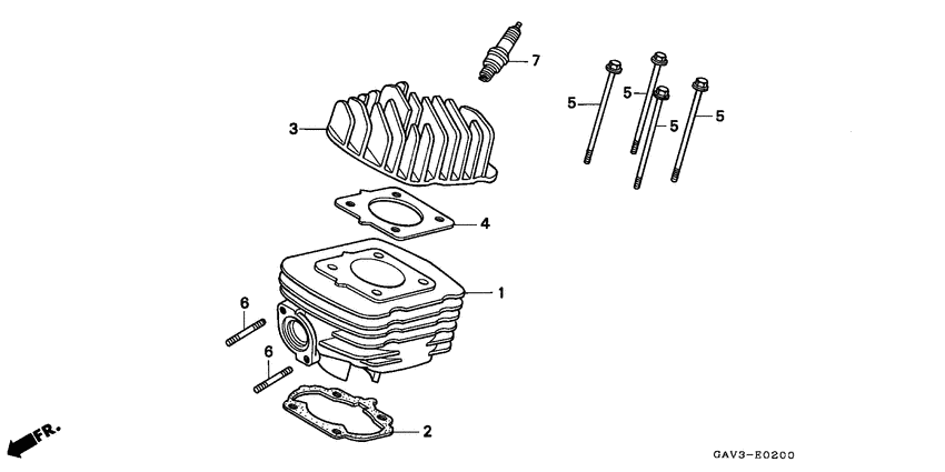 Cylinder/cylinder head