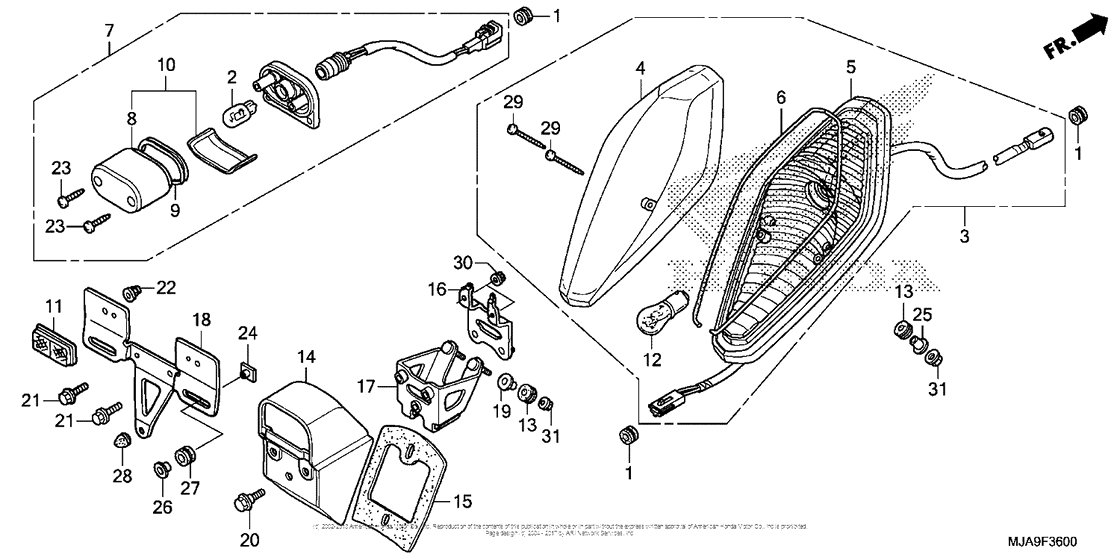 Taillight (1)