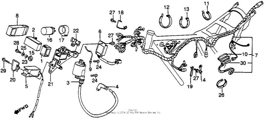Wire harness + ignition coil
