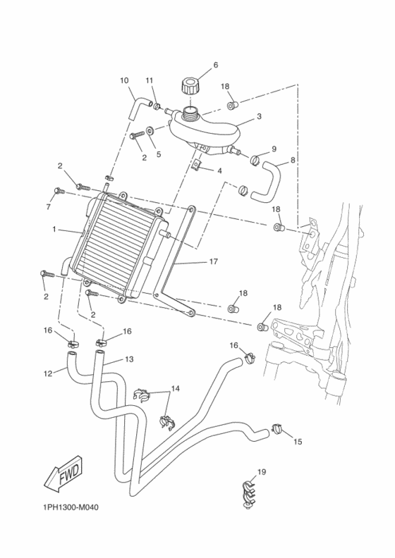 Radiator & hose