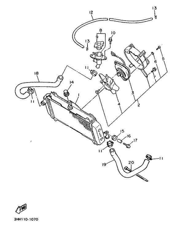 Radiator. hose